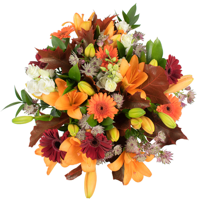 Captured from a slightly elevated perspective on a pure white field, this lush autumn bouquet reads like a warm harvest memory gathered from the neighbourhood - imagine leaves drifting from the plane trees near Horn Park Road. Large, opened orange Asiatic lilies form the focal points, their smooth, trumpet-shaped petals unfurling in confident, graceful arcs, while numerous small green and pale-orange buds promise further opening. Interspersed among them are bright orange Gerbera daisies and deep, garnet-toned burgundy Gerberas, each with distinct, sun-like petal rays that add a playful, rustic energy. Cream-coloured lisianthus with soft, layered, almost crepe-like petals provides tender highlights, and tiny, lacey clusters of purple-grey Astrantia inject an intricate, airy texture that lifts the composition. The bouquet is anchored with broad, lobed leaves in rich reddish-brown and chestnut tones-deliberately evocative of fallen oak leaves-artfully positioned to emphasize the season and to give a natural, slightly wild silhouette. Fresh green foliage threads through the arrangement, its glossy leaves and slender stems offering contrast and definition while keeping the bouquet feeling freshly gathered. The composition is tightly packed and luxuriously full, photographed in bright, even light that makes the warm oranges, deep burgundies, creamy whites and muted purples sing against the white background. The overall impression is a comforting, abundant display that evokes harvest tables, Thanksgiving settings, or a welcoming gift for a neighbour in Kidbrooke or a cosy flat overlooking Greenwich - tactile, fragrant, and perfectly suited to late-autumn celebration.