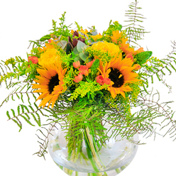 Beaming with the golden energy of late summer, this abundant bouquet showcases generous sunflowers and plush yellow roses arranged in a sleek round glass vase, reflecting the cheerful spirit of Kidbrooke. Sunflowers open wide, their radiant yellow petals circling distinctive chocolate centers, each bloom reminiscent of the wide open spaces of nearby Hornfair Park. Yellow garden roses unfurl in tight, luxurious spirals, blending seamlessly with glossy clusters of vibrant red hypericum berries. These berries add spirited pops of colour, artfully contrasted by the soft matte petals of the flowers and the lushness of cascading feathery ferns. Sprigs of airy goldenrod and ethereal green spikes lend movement, while pale eucalyptus leaves peek through, enhancing the bouquet's wild and natural character. The vase's clear form puts every stem and tangle of green on display, magnifying the craftsmanship behind the arrangement. Ideal as a centerpiece for family gatherings in Kidbrooke or a heartfelt delivery to a loved one, the bouquet brings together the textures, scents, and colours of the local community, turning even the greyest day into a sunlit celebration.